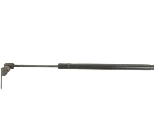 hood-lift-support-tesla-model-s-5yjs-2012-33362345 main image