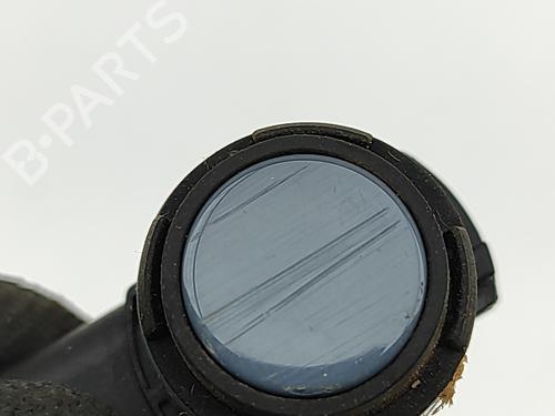 Electronic module PORSCHE CAYENNE Coupe (9YB) 4.0 S AWD (9YBBJ1) | BP29594174M83 