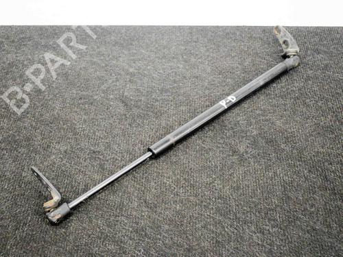 Used Hood lift support TESLA MODEL S (5YJS) 75 (388 hp) 20231329