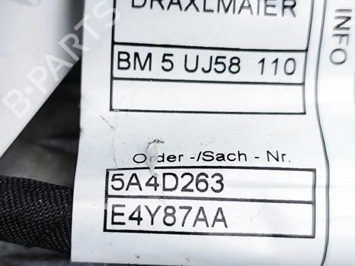 Wiring harness BMW XM (G09) XM All-wheel Drive | BP32501118E16 