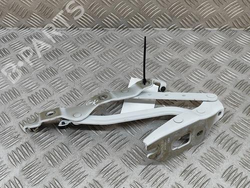 Used Hinge/Door check strap Hinge/Door check strap AUDI A5 Convertible (8F7) S5 quattro (333 hp) 24819925 24819925