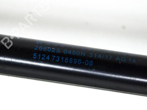 Gasdæmper bagklap MINI MINI (F55) One D | BP14628726C138 