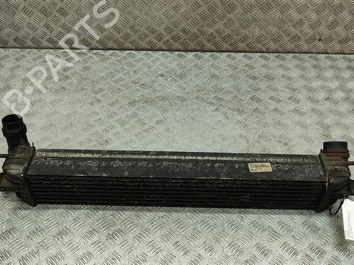 Intercooler RENAULT LAGUNA III (BT0/1) 2.0 dCi (BT07, BT0J, BT14, BT1A, BT1S) (131 hp) 29128412