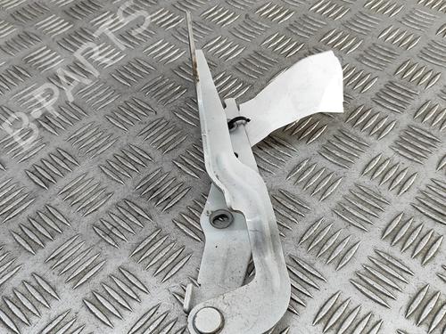 Hinge/Door check strap VW GOLF VII (5G1, BQ1, BE1, BE2) e-Golf | BP27350512C146 