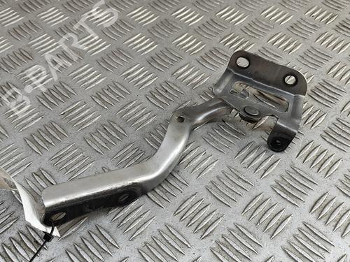 Hinge/Door check strap TOYOTA PRIUS (_W3_) 1.8 Hybrid (ZVW3_) | BP28811903C146 