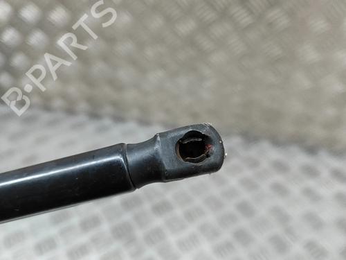 Tailgate lift support AUDI A3 Sportback (8VA, 8VF) RS3 quattro | BP26590156C138 