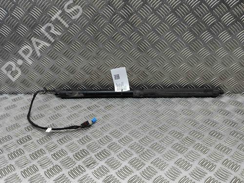Used Tailgate lift support PORSCHE PANAMERA (970) 3.0 S E-Hybrid (333 hp) 29373526