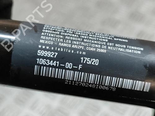 Electronic module TESLA MODEL X (5YJX) P100D AWD | BP25217880M83 