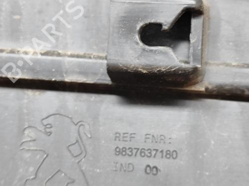 Door moulding trim PEUGEOT 2008 II (UD_, US_, UY_, UJ_, UR_, UC_) e-2008 (UKZKWZ) | BP27790454C150 