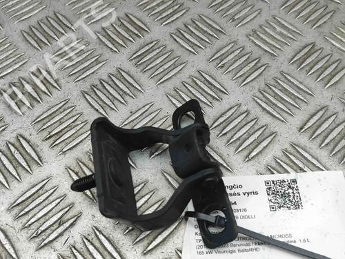 hingedoor-check-strap-citroen-c5-aircross-a_-2018-30108100 main image