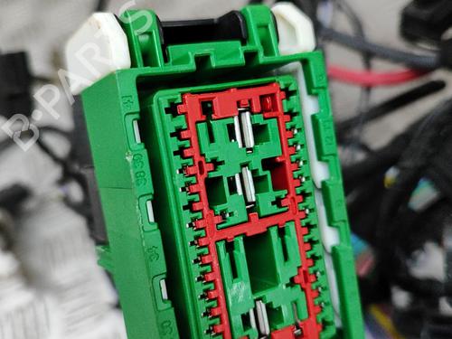 Wiring harness LAND ROVER RANGE ROVER EVOQUE (L538) 2.2 D 4x4 | BP22443894E16 