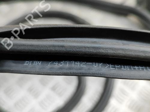 Gummiliste BMW X7 (G07) xDrive M 50 d | BP28562954C142