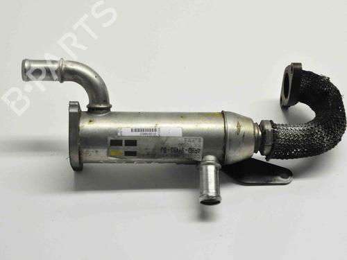 Egr JAGUAR XJ (X350, X358) D 2.7 | BP30231019M69