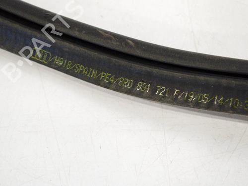 Rubber door seal AUDI Q5 (8RB) SQ5 TDI quattro | BP14668252C142 