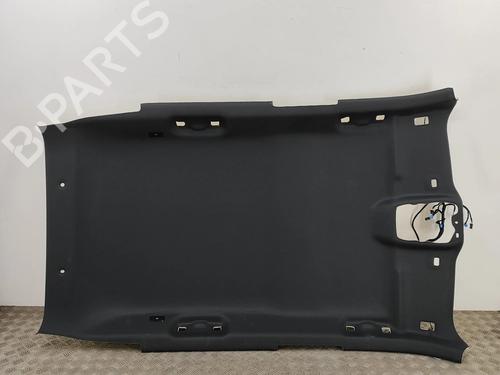 Used Interior roof PEUGEOT 2008 II (UD_, US_, UY_, UJ_, UR_, UC_) e-2008 (UKZKXZ) (136 hp) 30178026