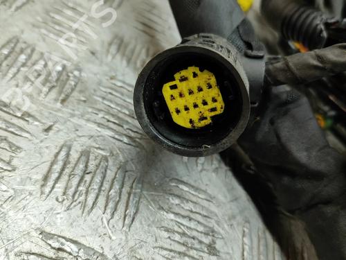 Wiring harness FERRARI CALIFORNIA 4.3 | BP32119087E16 