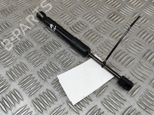 hood-lift-support-tesla-model-y-5yjy-2019-27789701 main image