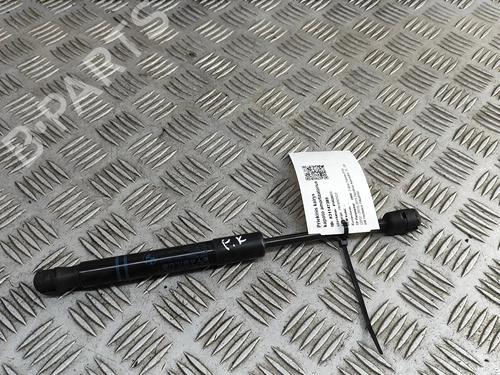 hood-lift-support-bmw-3-gran-turismo-f34-2012-27404934 main image