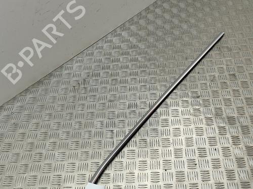 Door moulding trim BMW 7 (F01, F02, F03, F04) 730 d | BP18314119C150 