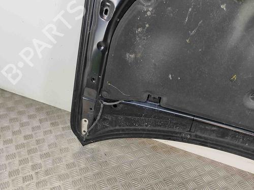Hood LEXUS CT (ZWA10_) 200h (ZWA10_) | BP29593482C1 