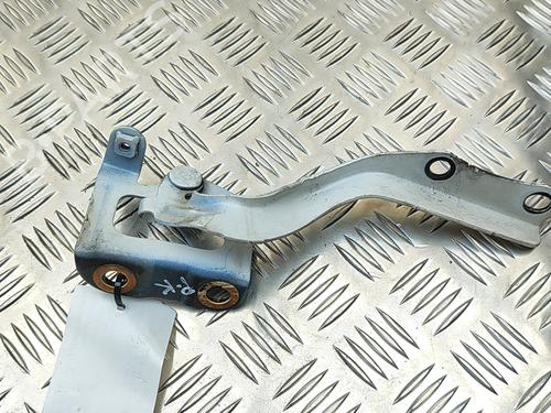 Hinge/Door check strap TOYOTA PRIUS (_W3_) 1.8 Hybrid (ZVW30) | BP28956178C146 