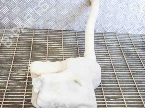Used Windscreen washer tank RENAULT MASTER III Van (FV) 2.3 dCi 100 FWD (FV0A, FV0B, FV0G, FV0K, FV0H) (101 hp) 6766846