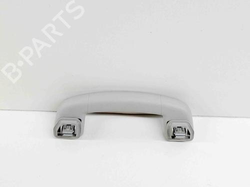 Interior roof handle SKODA KAMIQ (NW4) 1.0 TSI | BP27758740I35