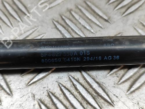 Tailgate lift support SEAT LEON (5F1) 2.0 Cupra | BP19282805C138 