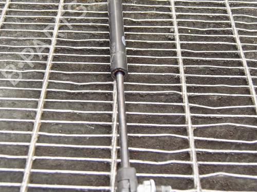 Hood lift support LAND ROVER RANGE ROVER EVOQUE (L538) 2.0 D | BP14618908C139 