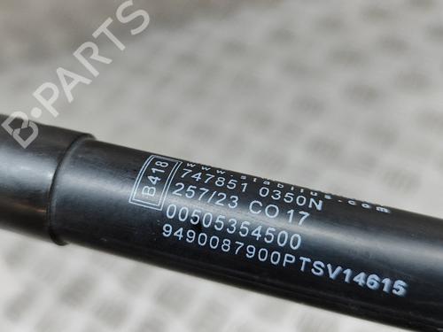 Hood lift support ALFA ROMEO STELVIO (949_) 2.0 Q4 (949.AXA2A) | BP28446679C139 