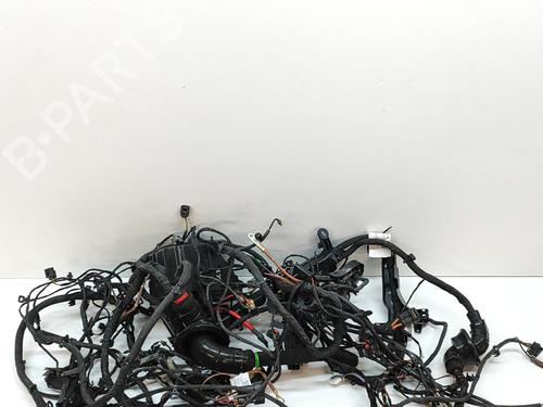 Used Wiring harness MERCEDES-BENZ EQS (V297) EQS 450+ (297.123) (333 hp) 28557038