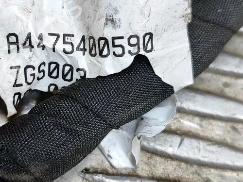 Wiring harness MERCEDES-BENZ EQV (W447) EQV 250 (447.813, 447.815) | BP27772437E16