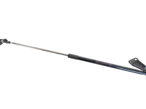 tailgate-lift-support-nissan-juke-f15-2010-2011-2012-2013-2014-2015-2016-2017-2018-2019-30239961 main image