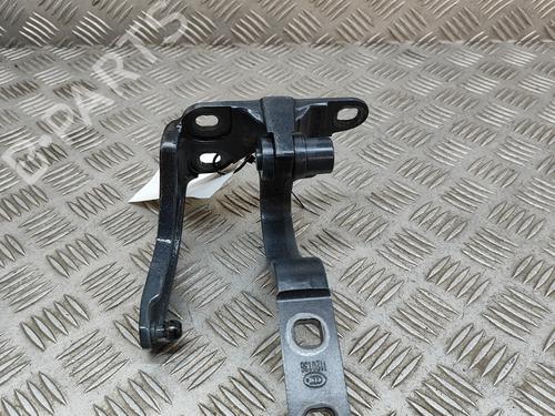 Hinge/Door check strap TESLA MODEL X (5YJX) 90D AWD | BP20675539C146 