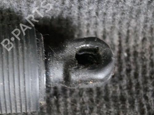 Tailgate lift support BMW X5 (F15, F85) xDrive 30 d | BP14653024C138 