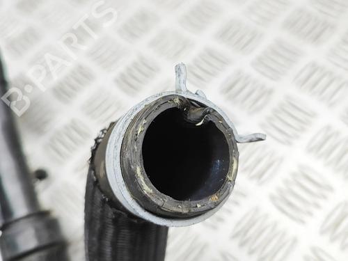 Pipe NISSAN JUKE (F16_) DIG-T 117 | BP35957606M125 - Image 4