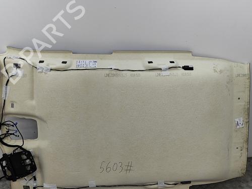 Interior roof PEUGEOT 2008 II (UD_, US_, UY_, UJ_, UR_, UC_) e-2008 (UKZKXZ) | BP29042358I12 