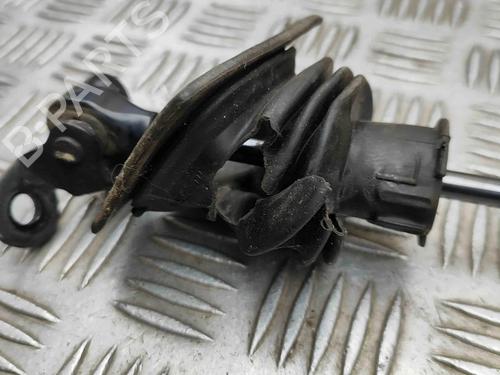 Hinge/Door check strap PORSCHE PANAMERA (970) 3.0 S E-Hybrid | BP29373496C146