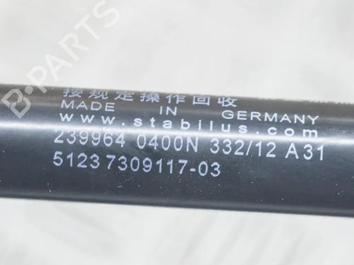 Hood lift support BMW 5 (F10) 520 d | BP14624919C139