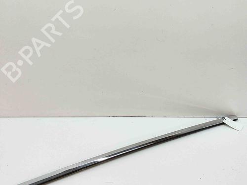Door moulding trim TESLA MODEL X (5YJX) P100D AWD | BP28435662C150
