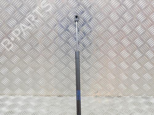 Used Hood lift support TESLA MODEL S (5YJS) 60 (388 hp) 14627432