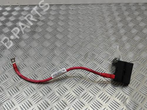 Used Cable Cable JAGUAR XJ (X351) 3.0 SCV6 (340 hp) 19501382 19501382