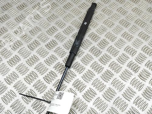 Hood lift support MERCEDES-BENZ C-CLASS Convertible (A205) C 220 d (205.404) | BP29542932C139 