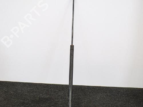 Used Hood lift support MERCEDES-BENZ S-CLASS (W220, V220) S 400 CDI (220.028, 220.128) (250 hp) 14665857