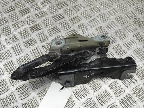 Used Hinge/Door check strap Hinge/Door check strap BMW X5 (G05, F95) xDrive 30 d Mild-Hybrid (286 hp) 32973669 32973669