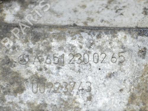 Vacuum pump MERCEDES-BENZ SPRINTER 3,5-t Bus (B906) 313 CDI (906.731, 906.733, 906.735) | BP9509884M80 