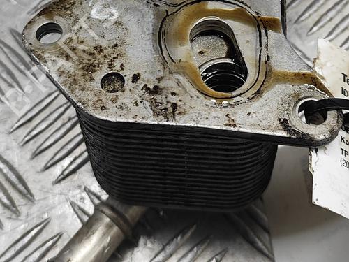 Oil radiator VW GOLF V (1K1) 2.0 GTI | BP23562828M33 