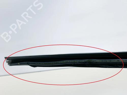 Dørliste TESLA MODEL 3 (5YJ3) EV | BP27747746C150  - Image 6