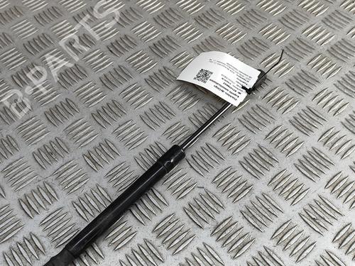 Hood lift support AUDI A6 C7 Avant (4G5, 4GD) 2.0 TDI | BP28028495C139 