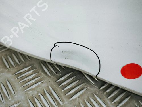 Tailgate PORSCHE CAYENNE (9YA) 3.0 AWD (9YAAA1) | BP31279280C6